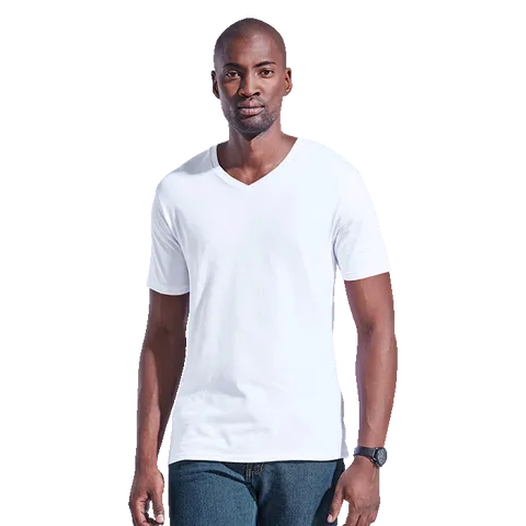 Mens 170g Slim Fit V-Neck T-Shirt