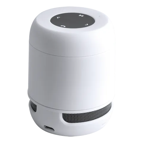 Braiss Bluetooth Speaker