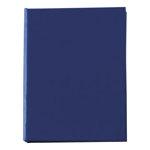 304720 blue