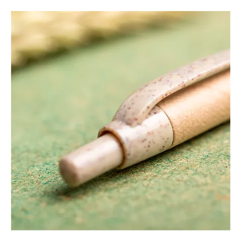 310671 detail1