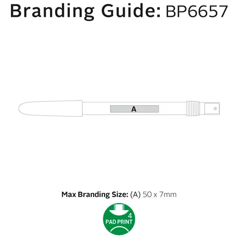 310256 branding