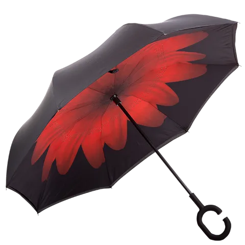 310750 red