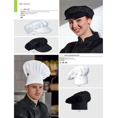 304893 catalogue