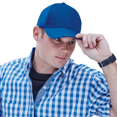 6 Panel Raven Cap